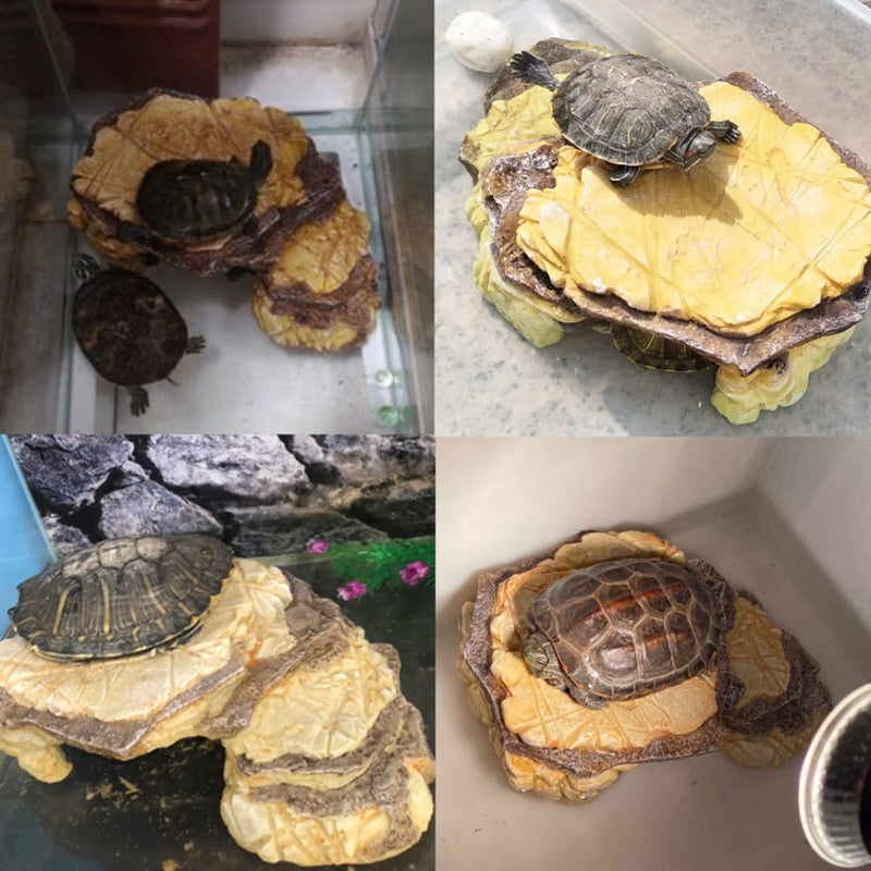 kathson Resin Basking Platform for Turtles,Tortoise Climbing Ramp Resting Terrace,Reptile Hides Caves,Aquarium Decorations,Climb Hideout Rock for Bearded Dragon Geckos Newts Lizards - Image 4